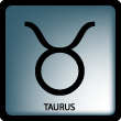 Taurus Symbol