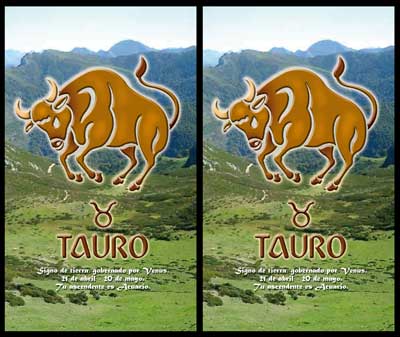 Taurus and Taurus Compatibility