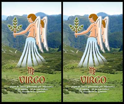 Virgo and Virgo Compatibility